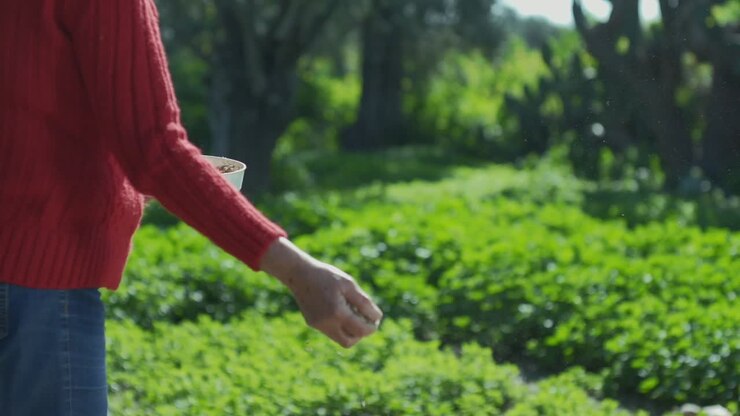 Woman in red sweater throws seeds for birds inside a green garden