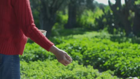 woman in red sweater throws seeds for birds inside a green garden