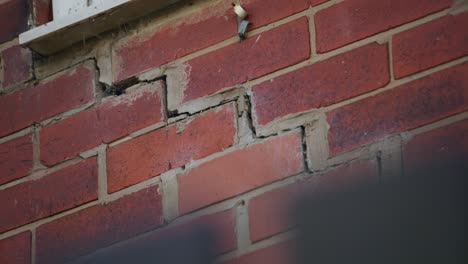 house in a state of subsidence, foundation has shifted and caused cracks