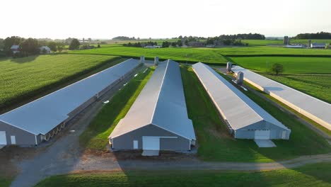 Four-chicken-houses-and-rural-fields-in-USA