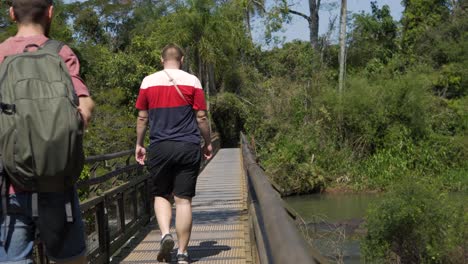 Jungle trek over wood bridge at Iguazu Waterfall falls nature Argentina landscape