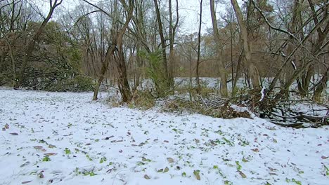 point of view from an all terrain vehicle atv while driving on a snow covered trail down a steep hill through the woods on an early winter afternoon; pov