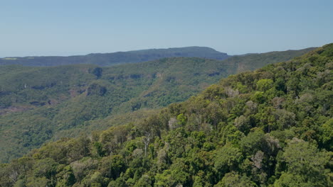 scenic treetop mountain forest landscape of binna burra, lamington national park, high level drone slow motion 4k