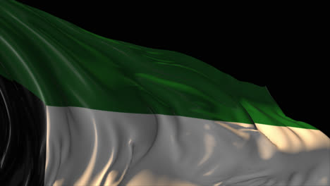 agitando la bandera de kuwait