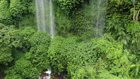 tilt-up stabile shot of a high waterfall in a tropical jungle, watercourse on rocks, as water freefalling between lush green trees, and plants