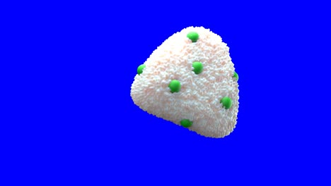 various of onigiri rice balls on blue chroma key. japanese food made from white rice, seaweed and fillings.