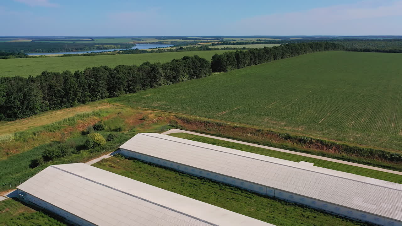 Huge farming premises located in the fields. Aerial drone shot over the modern farm against the nature backdrop.