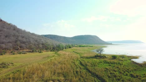 Luftdrohnenaufnahme-Von-Grasland-Und-Waldhügeln-Entlang-Eines-Stausees-In-Tighra-Gwalior-In-Madhya-Pradesh,-Indien