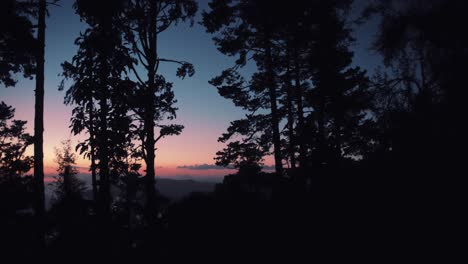 the sun sets in a mountain forest above the clouds in oaxaca, mexico 5