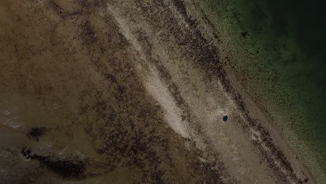 Bird's-eye-view-of-the-shore-line-at-Corliss-Landing-in-Gloucester,-Massachusetts