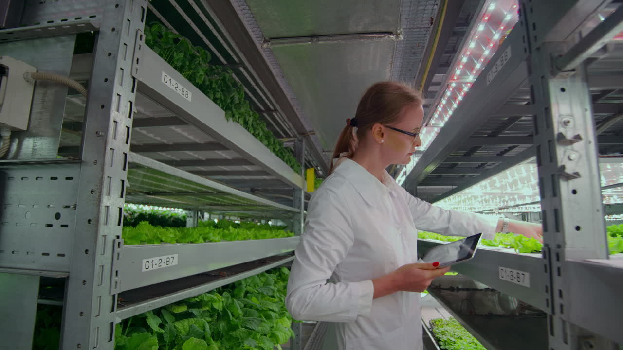 색 코트를 입은 남성과 여성의 그룹은 손에 태블릿과 컴퓨터를 가지고 있습니다. 분석하고 재배 된 채소와 허브에 대한 데이터베이스 정보를 만니다.