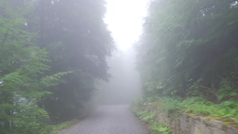 foggy road.