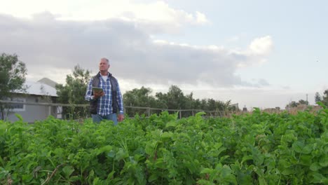 Mature-man-working-on-farm