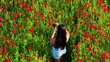 Young woman taking pictures of poppies in a blooming field