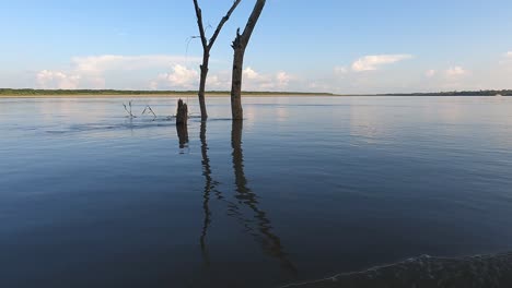 Ruhige-Landschaft-Am-Amazonas-Während-Einer-Bootsfahrt---Pov