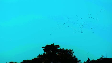 flock of migratory birds fly over forest on blue sky background