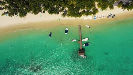 volando en la costa del océano en el dron