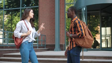 caucasian woman and african american man talking in the street near the university