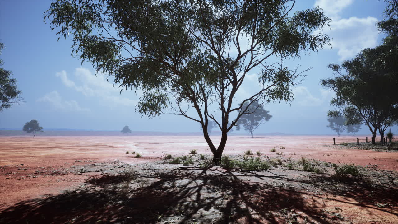 paisaje de sabana africana con árboles de acacia