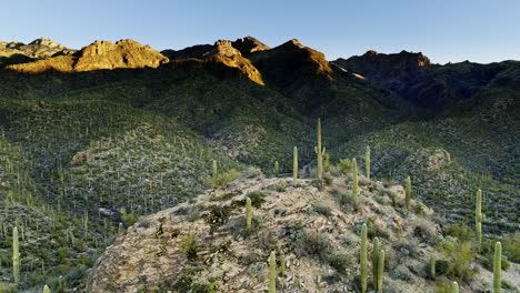 imágenes de drones de cactus de montaña