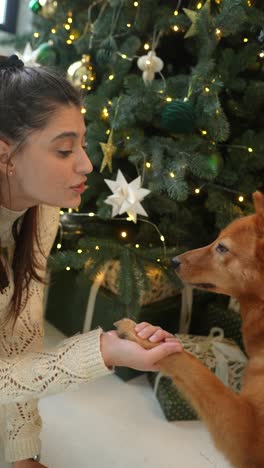 woman and dog by christmas tree