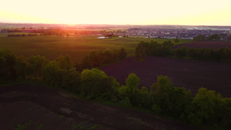 Hermosa-Puesta-De-Sol-Dorada-Sobre-Un-Campo-De-Pradera