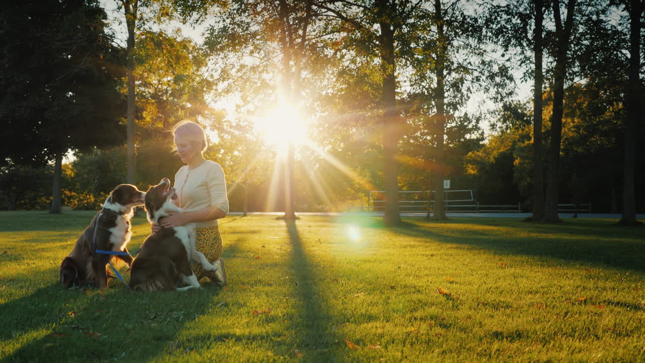 paseo de otoño en el parque con dos mascotas mujer paseando a sus perros