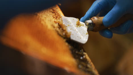 el apicultor quita suavemente la cera de abejas