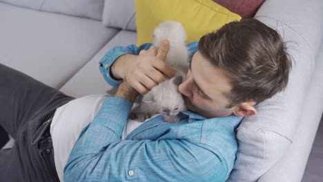 feeding pets. the man feeding the kittens.