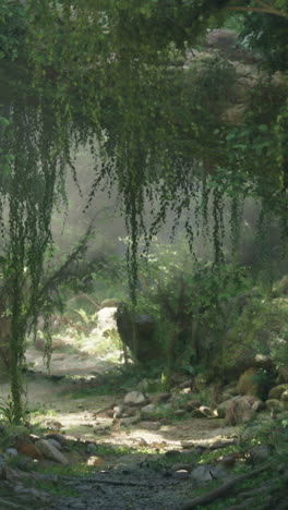 un camino de niebla a través de un bosque exuberante