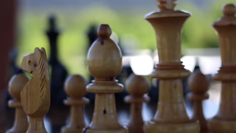 the white rank in a game of chess looking through to the opponents pieces