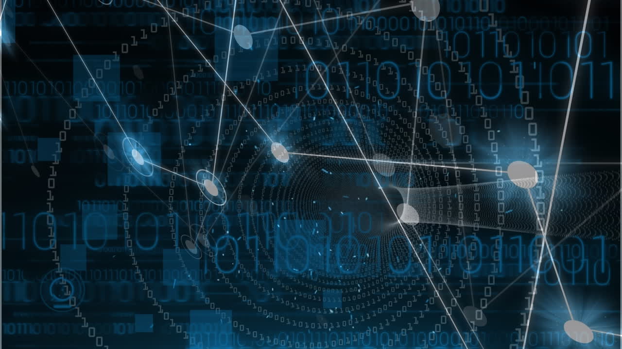Animation of network of connections over data processing