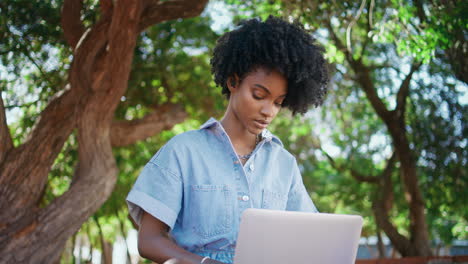 serious freelancer working nature typing on laptop closeup.  girl in park