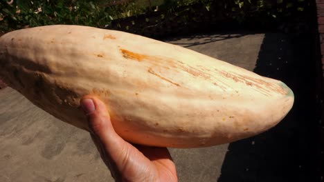 man holding a banana squash