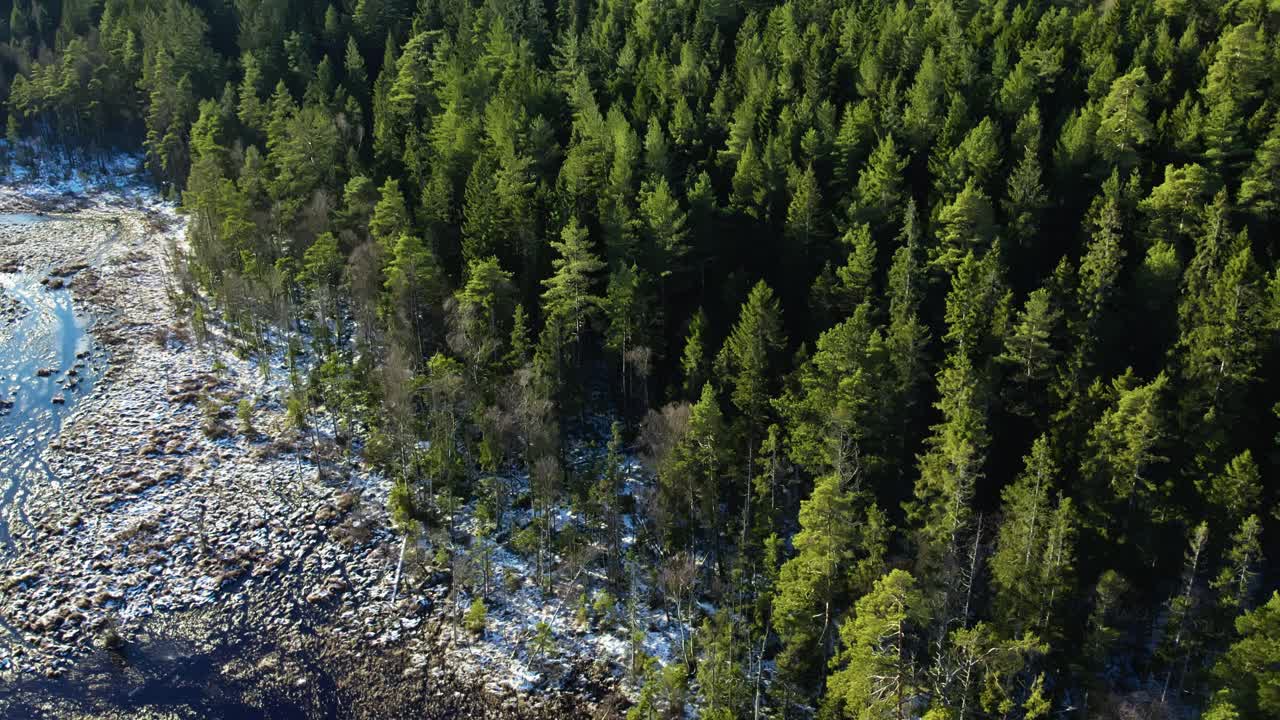 Ilmakuva, joka näyttää siirtymän jäätyneestä joesta ja lumisesta maasta tiheään kuusimetsään Klippansin luonnonsuojelualueella Ruotsissa