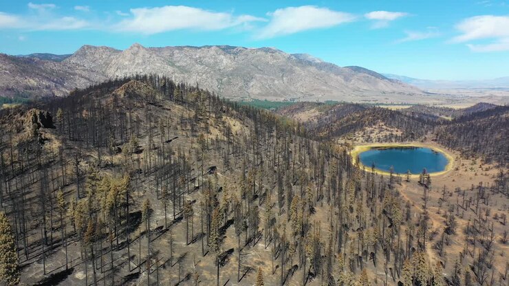 Veduta aerea della foresta bruciata e distrutta e della distruzione della natura selvaggia causata dall'incendio Caldor vicino al Lago Tahoe, California
