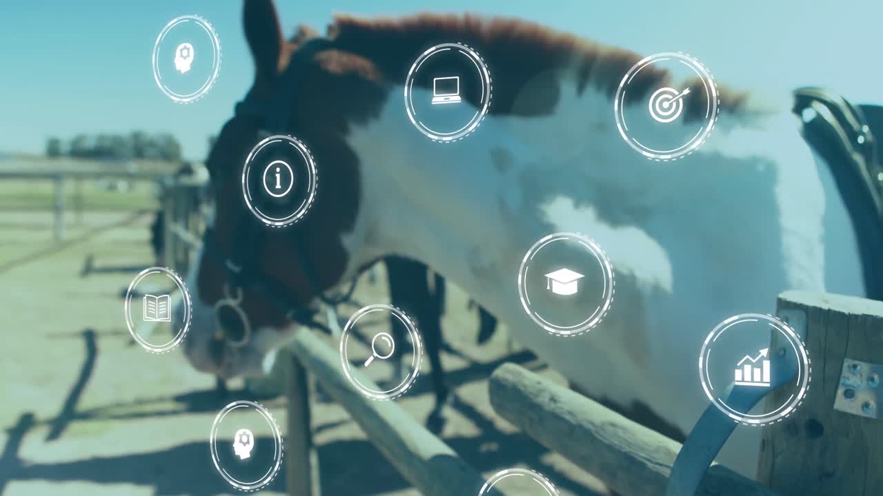 말 위에 있는 미디어 아이콘의 애니메이션