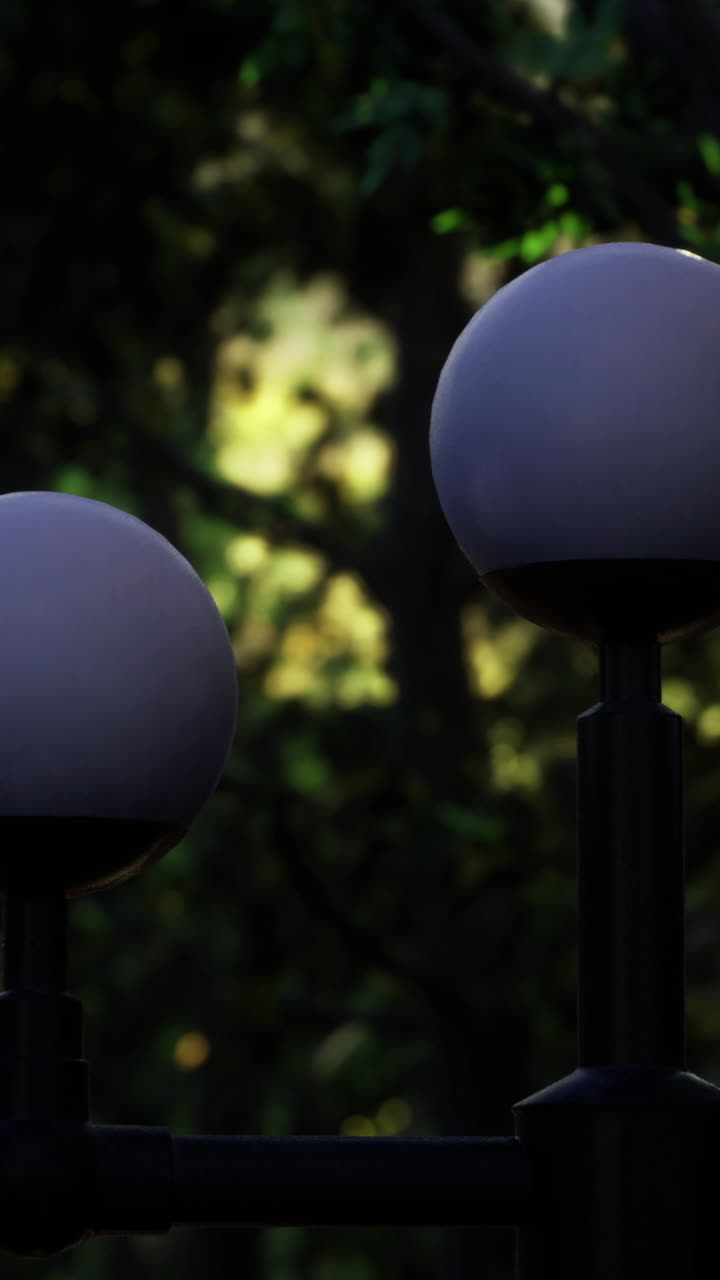 Street light fixtures illuminate a park pathway at dusk