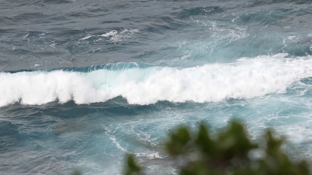 울퉁불퉁한 해안, 바람이 부는 식물과 배경의 강력한 파도, 랙 포커스