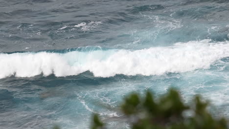 costa escarpada, plantas que soplan viento y poderosas olas en el fondo, enfoque en rack