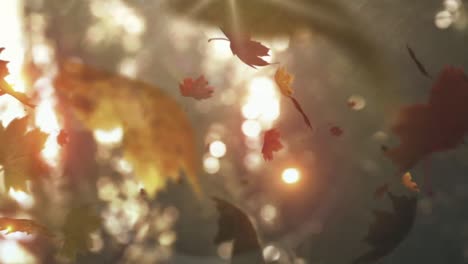 Composite-video-of-multiple-autumn-leaves-falling-against-sun-shining-through-tree-branches