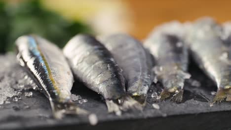 fresh sardines on ice
