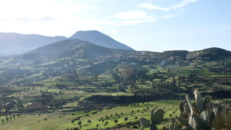 aerial view of the lush moroccan countryside