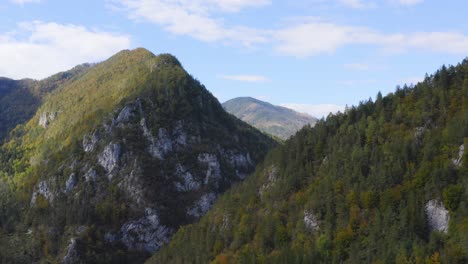 Cinematic-aerial-forward-over-green-forest-mountain-peak,-Alps