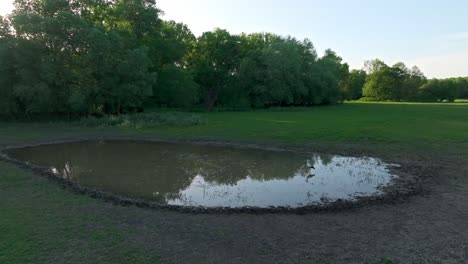 single white stork bird in a pond at meadows during sunset