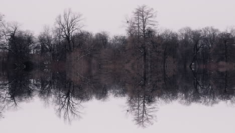 winter forest reflection on a calm lake