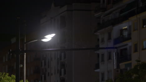 rainy night in the city: street light illuminates urban scene