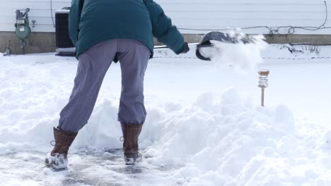 Palear-Nieve-En-Invierno