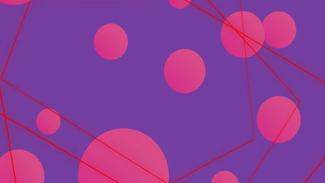 animation of vibrant abstract shapes moving on purple background