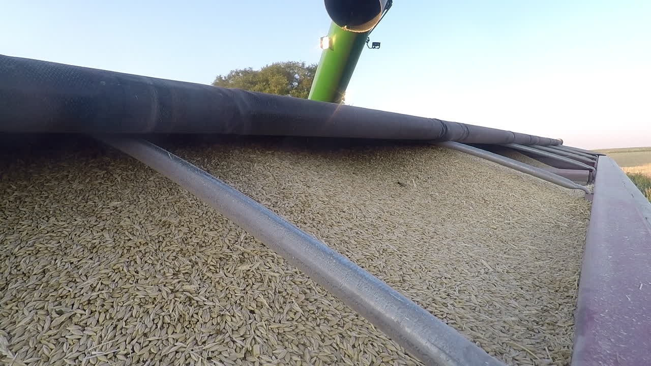 lona negra rodando sobre barras de acero para cubrir el remolque completo con granos frescos